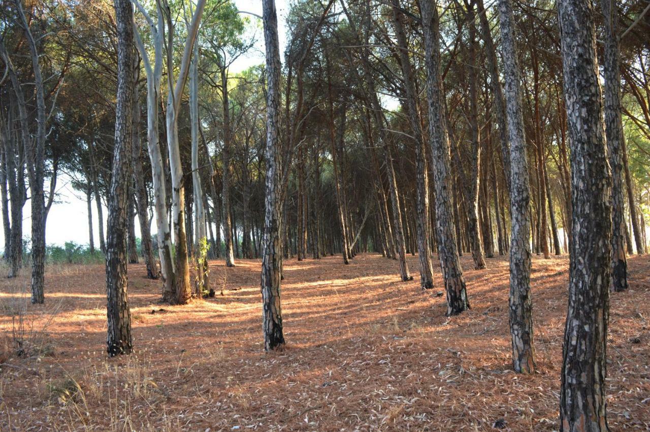 Oasi Del Governatore Daire Squillace Dış mekan fotoğraf